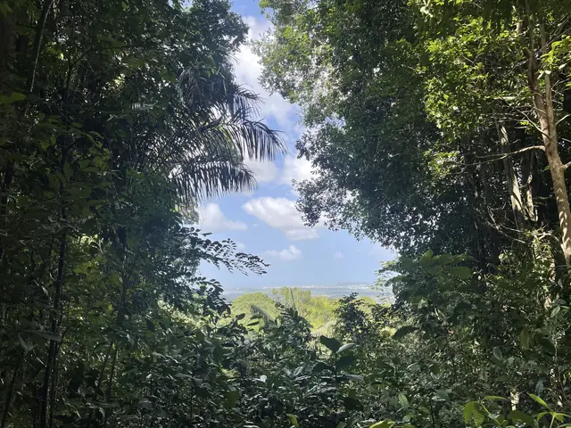 Sentier Lamirande